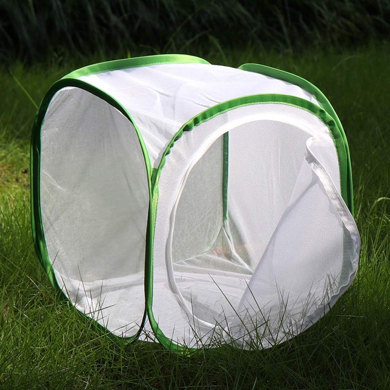 RESTCLOUD Insect and Butterfly Habitat Cage Terrarium Pop-up 12 X 12 X 12 Inches, Polyester Bottom for Easier Clean - Image 4